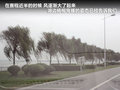 瑞虎 图片