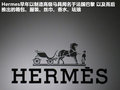 菲亚特500 图片