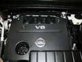 楼兰 2011款 楼兰 3.5CVT图片