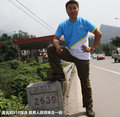 帕拉丁 图片