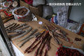 帕拉丁 图片