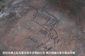 帕拉丁 图片
