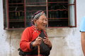 帕拉丁 图片