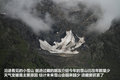 帕拉丁 图片