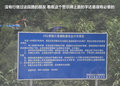 帕拉丁 图片