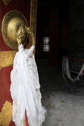 帕拉丁 图片