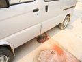 佳寶 V52 2011款 佳寶V52 實(shí)用型圖片
