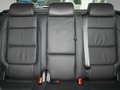 高尔夫(进口) 高尔夫Cross 1.4 TSI DSG 实拍图片