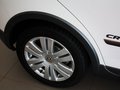 高尔夫(进口) Cross Golf 1.4 TSI DSG 2011款图片