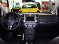 高尔夫(进口) Cross Golf 1.4 TSI 2011款