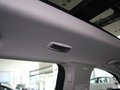 高尔夫(进口) 2011款 1.4TSI DSG 豪华版图片