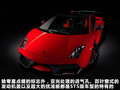 Gallardo 图片