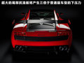 Gallardo 图片