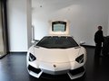 Gallardo 2013款 LP570-4圖片