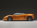 Gallardo 图片