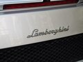 Gallardo LP560-4 5.2L AMT Spyder 2011款图片