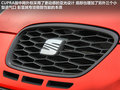 Leon 图片