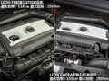 Leon 图片