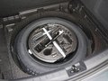 Leon 图片