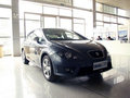 Leon 图片