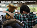 长城C50 图片