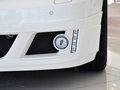 巴博斯 S系 5.5T 60S 2011款圖片