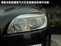 宝利格 图片