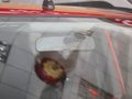 奇骏 2012款 2.5 CVT XV 至尊版 4WD图片