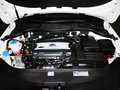 迈腾(进口) 迈腾旅行版 2.0TSI 舒适型 2012款图片