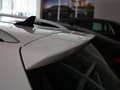 邁騰(進(jìn)口) 邁騰旅行版 2.0TSI 舒適型 2012款圖片