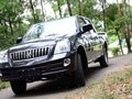 雄狮 2010款 2.0T MT 柴油版图片