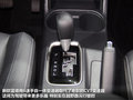 欧蓝德（进口） 图片