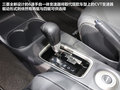 欧蓝德（进口） 图片