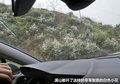 雪铁龙C5 图片