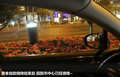 雪铁龙C5 图片