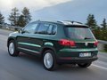 Tiguan 2012款 Tiguan图片