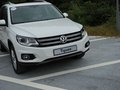 Tiguan 2012款 2.0 TSI 豪华型图片