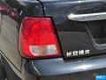 羚羊 图片