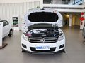 途观 2012款 途观 2.0TSI 四驱旗舰版图片