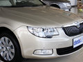 昊锐 2012款 昊锐 1.8TSI AT 优雅版5座图片