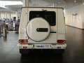 奔驰G级AMG 2009款 G55 AMG图片