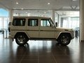 奔驰G级AMG 2009款 G55 AMG图片