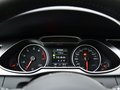 奥迪A4(进口) 奥迪A4 40 TFSI allroad quattro 豪华型 2013款图片
