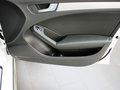 奧迪A4(進(jìn)口) 奧迪A4 40 TFSI allroad quattro 豪華型 2013款圖片
