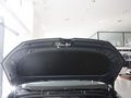 夏朗 2012款 2.0TSI DSG 豪华型图片