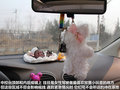 Tiguan 图片