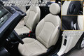 MINI ROADSTER 图片