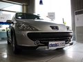 标致307 307 1.6 AT Cross 2012款图片