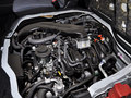 海狮(进口) 2011款 2.7L 自动 标准版 13座图片