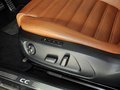 大众CC 2012款 大众CC 2.0TSI DSG 豪华型图片